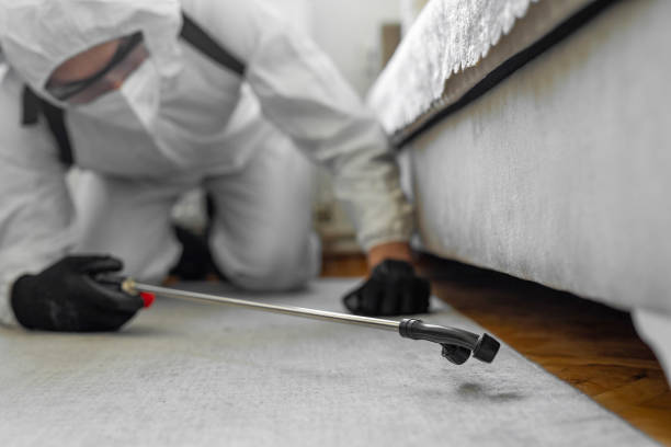 Professional Cockroach Control technician working in Hurley, WI